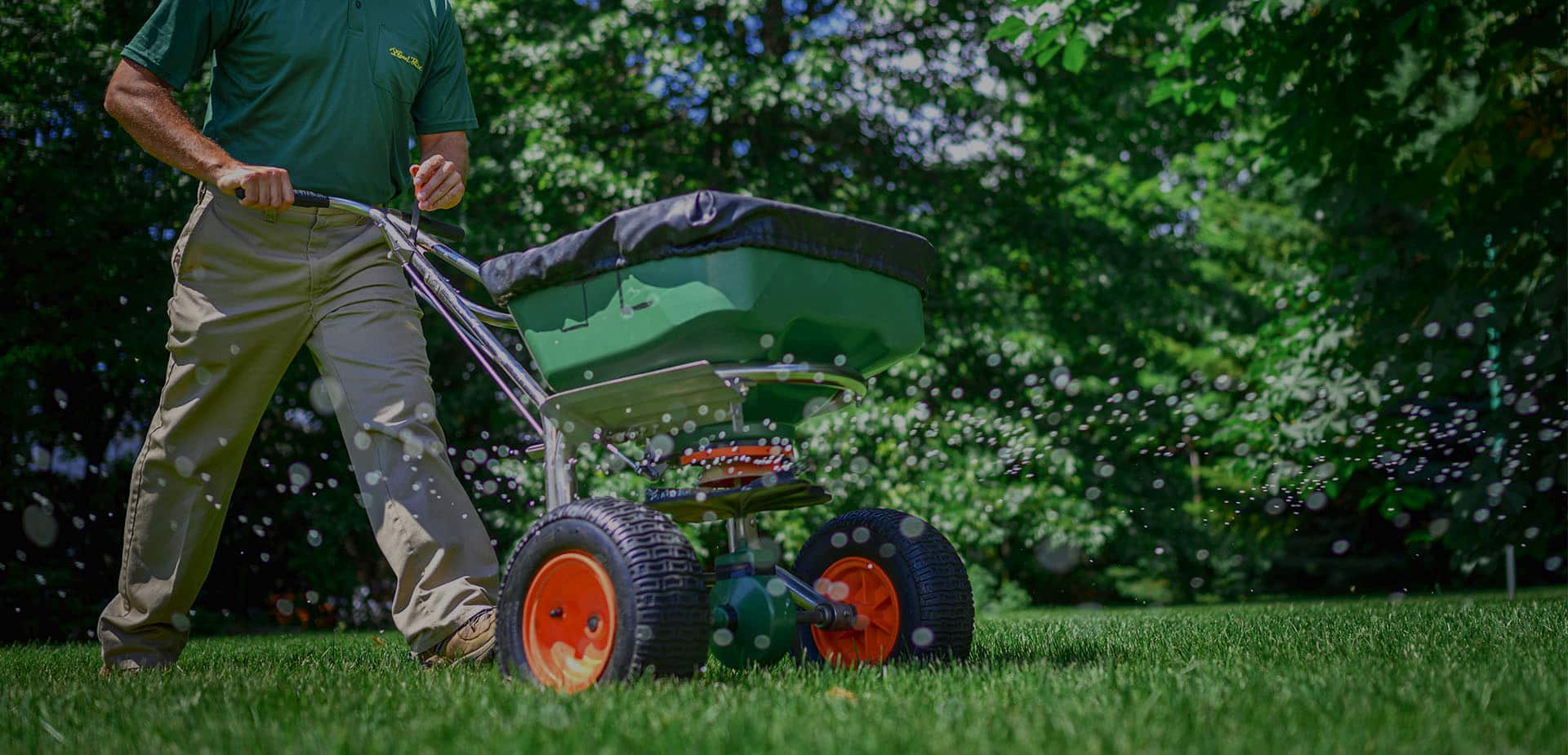 Lawn Care Services in Lansing | Weed Man